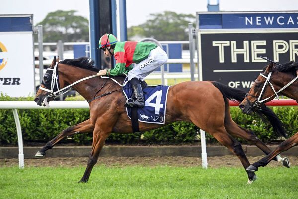 Asterix back on top in The Beauford