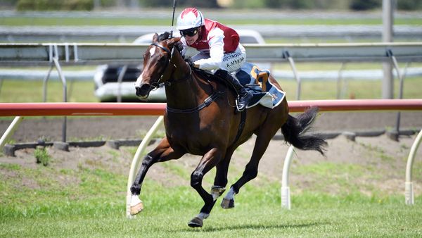 De Armas seals Karaka Millions berth with stylish stakes victory