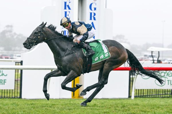 Gringotts goes back-to-back in The Gong