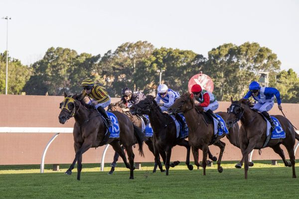 Hyperbolic delivers emphatically at Rosehill