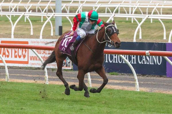 Andertons bringing strength in numbers to Wingatui