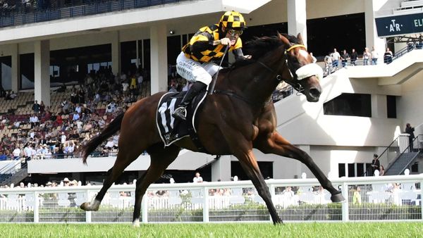 Jaarffi seeking to shed bridesmaid tag