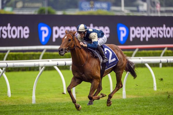 Jimmysstar dominant in Russell Balding Stakes