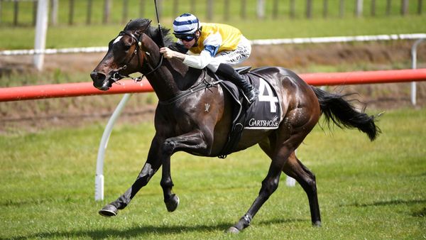 Mary Shan back on track with Tauranga victory