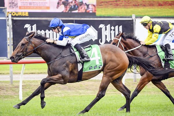 Meridiana impresses at Newcastle