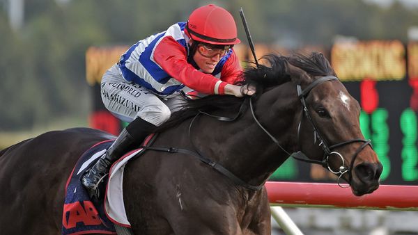 Wallbank keen on Midnight Edition’s home track prospects