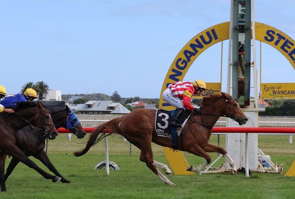 Wanganui win sets up Cup back-up for Royal Flower