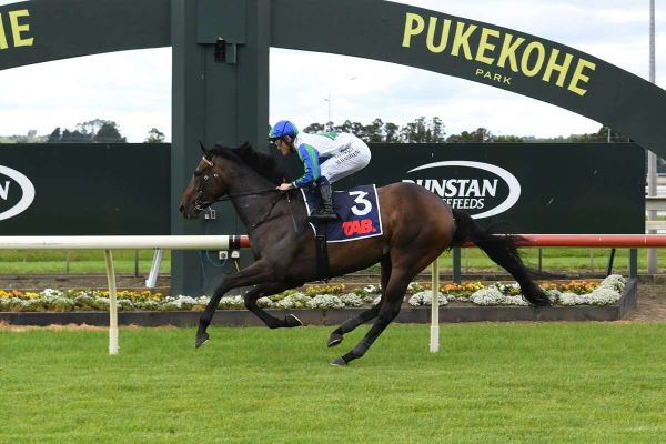 Smart an understatement for Wexford mare