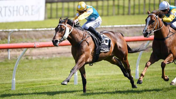 Swiss Prince heads Sarten quinella for Marsh