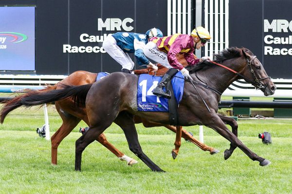 Hustler too strong in Zipping Classic