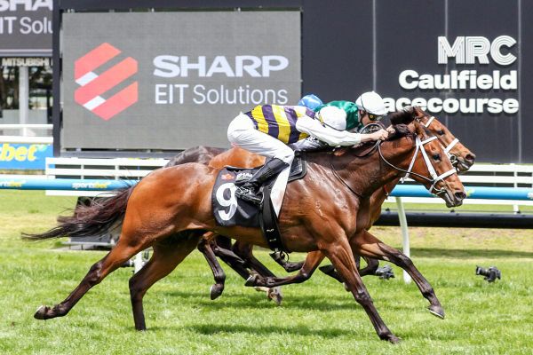 Skippers Canyon finishes strongly for Caulfield success