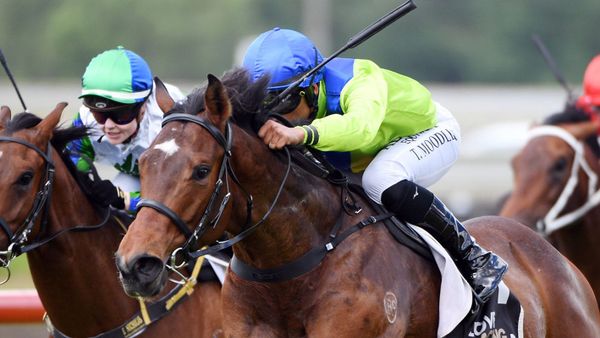 Kneebone collects first training success at Pukekohe