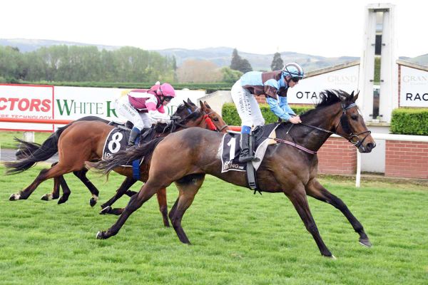 Dalton eyeing further success at Wingatui