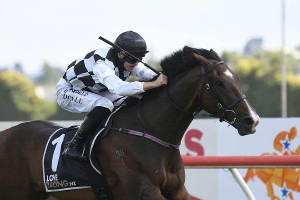 Tuxedo getting dressed up for summer racing