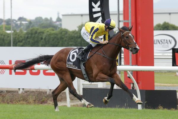 Wexford stars limber up at Taupo trials
