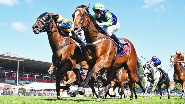 Blue Sky At Night seeking to defend Waikato Cup crown
