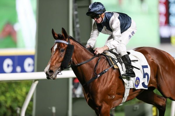 Invincible Ibis dazzles ahead of Four-Year-Old Classic Series