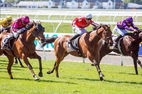 Mystic Park primed for Trentham sprint