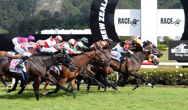 Provence confirmed for TAB Mufhasa Classic