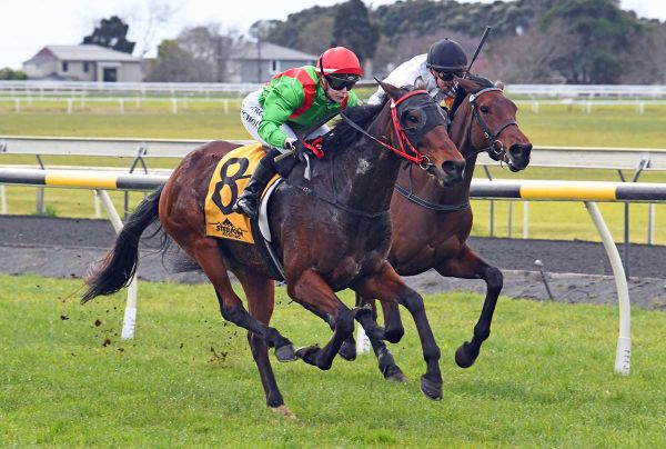 Hollinshead chasing family Cup double