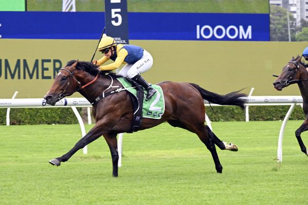 Sword Of State boosts festive spirits