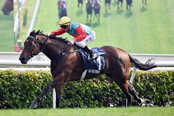 Breeder savours Ka Ying Rising’s shot at the LONGINES Hong Kong Sprint