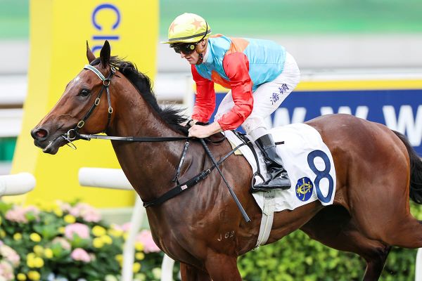 Ka Ying Rising gallop pleases Hayes ahead of LONGINES Hong Kong International Races