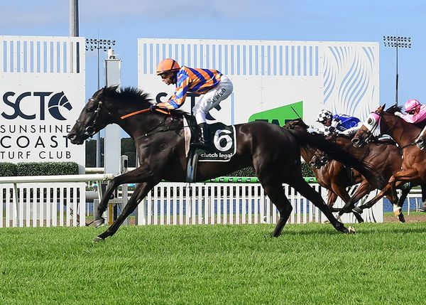 Anemacore strikes in Sunshine Coast Cup
