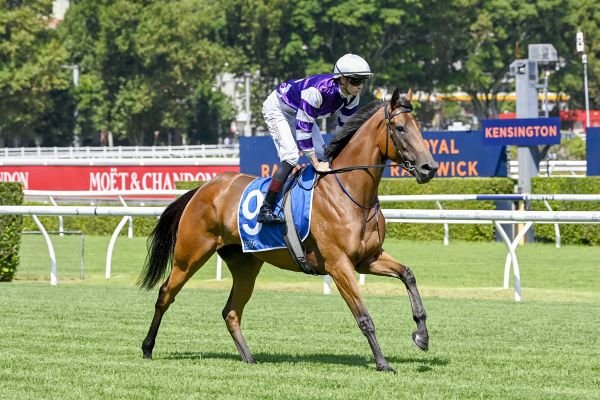 Aroha Stone loves Rosehill wet
