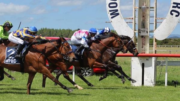 Nickalls chasing Oaks dream with promising filly