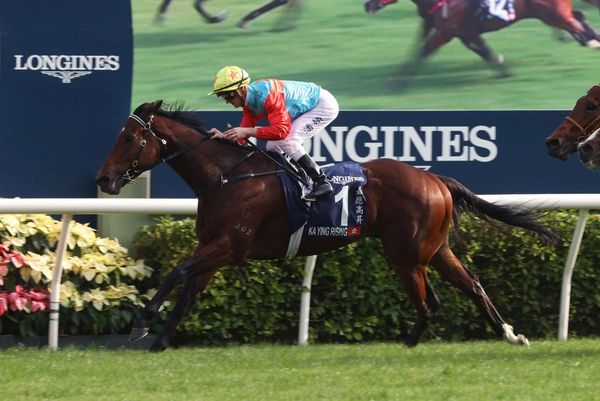 Ka Ying ‘hasn’t gone backwards’