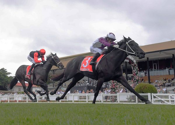 Nightline stamps Oaks credentials