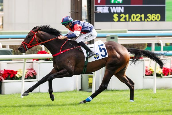 Road to the Derby: Numbers add up as Frankie Lor targets Four-Year-Old Classic Series