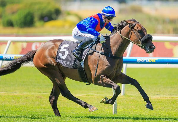 Taken back in winning groove