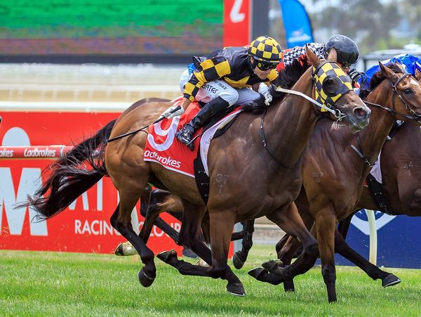 Leonchroi strikes at Geelong