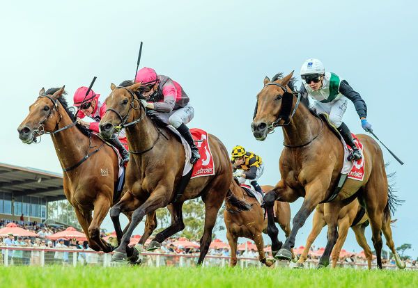 Precious Charm game in Coastal Classic