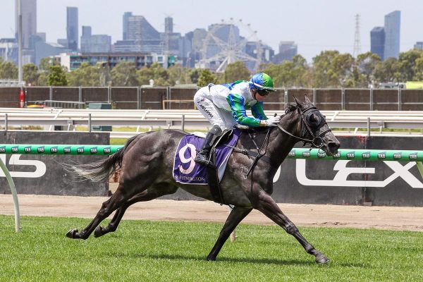 Sun Gift goes back-to-back