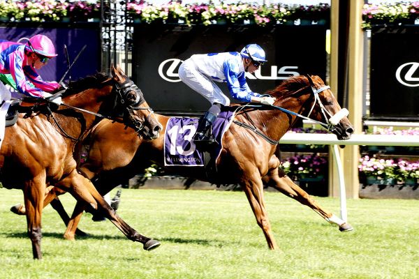 Defiant Dee guides Supernima to Flemington triumph