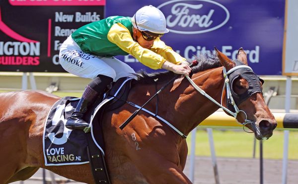 Waka returns home for second-up test