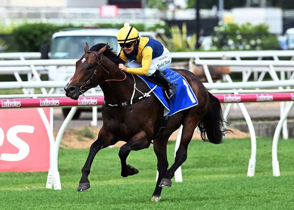 Warwoven dominant at Eagle Farm