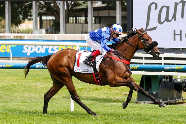 Wrote To Arataki claims second Geoffrey Bellmaine