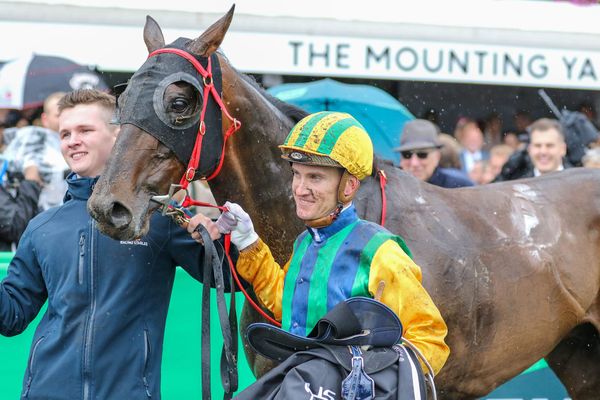 Track conditions key to Ceolwulf’s Verry Elleegant chances