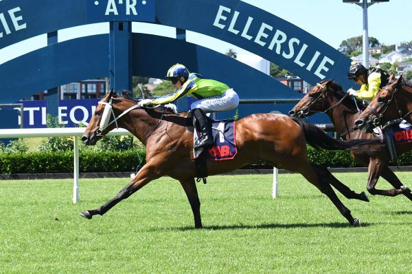 Derby hope sold to Hong Kong