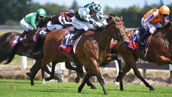 Yulong add another Guineas heroine to Kiwi portfolio