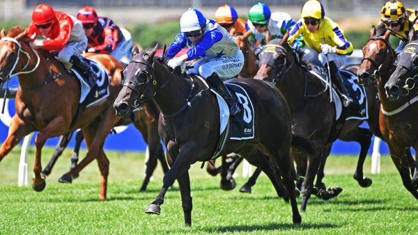 Belle Cheval on target for $4 million NZB Kiwi