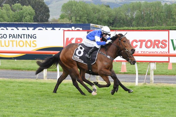 Bobby Mcgee hunting further stakes success