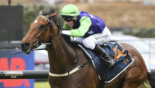 Home mile test for Checkmate