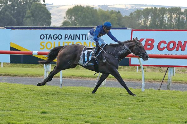 Cluedo Lane runs them ragged in Dunedin feature
