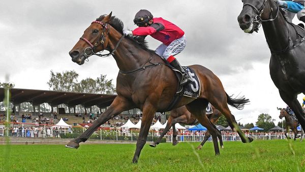 Enrico cascades home to snare Wairere Falls