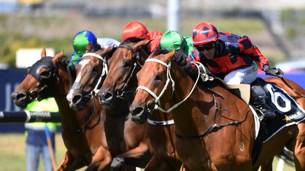 Final Return defies Aussie challenge in Avondale Cup